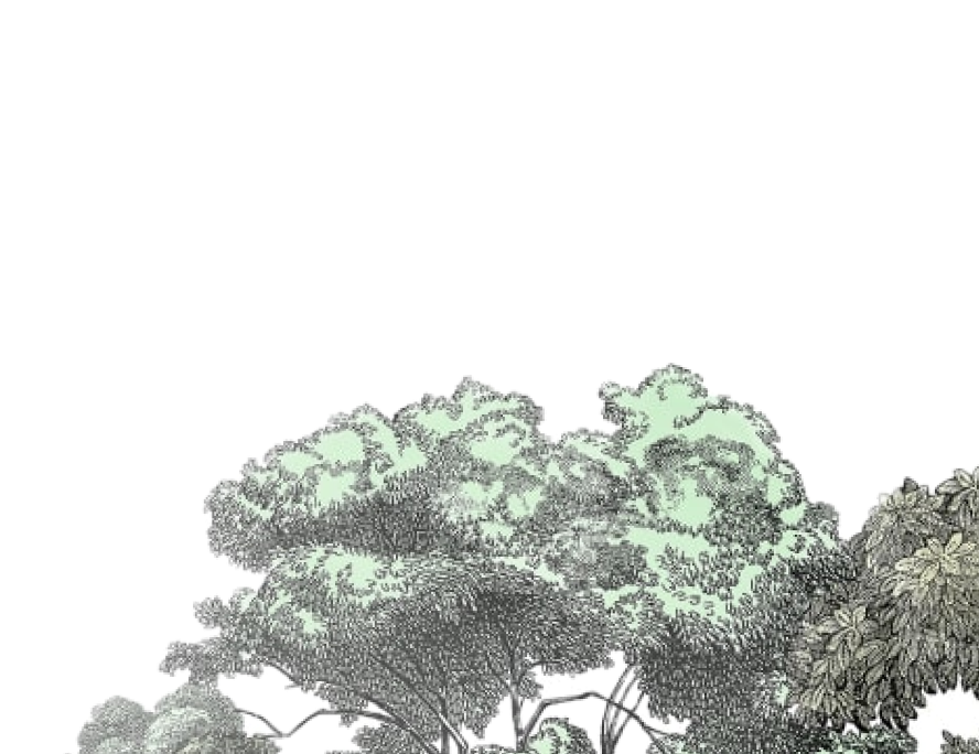 decoration